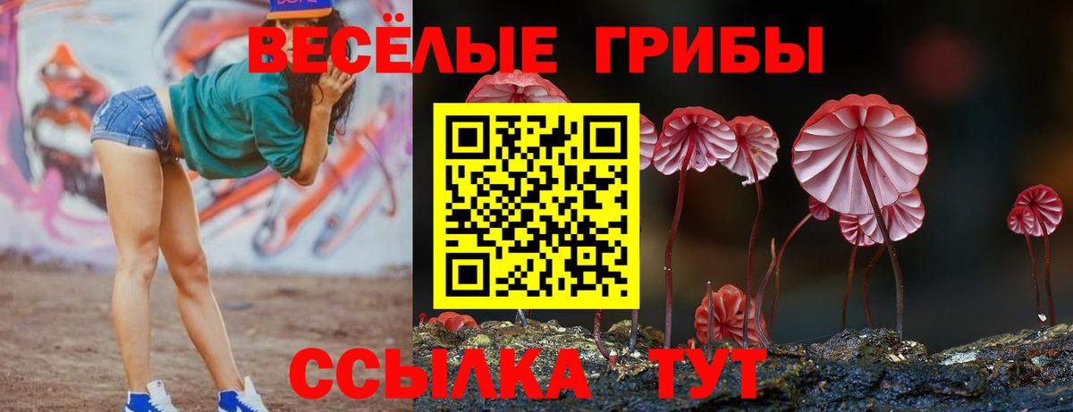 Псилоцибиновые грибы прущие грибы  Псилоцибиновые грибы GOLDEN TEACHER  Вход с VPN  Лесной 